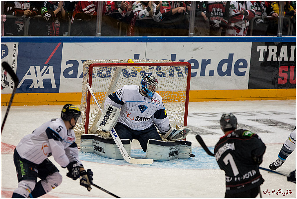 Koelner Haie - ERC Ingolstadt, 23.10.2016